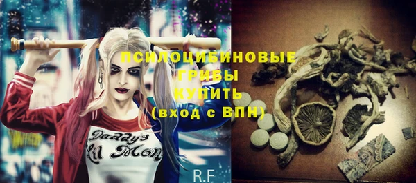 гашик Нефтегорск